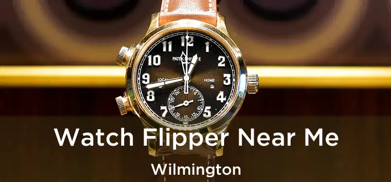 Watch Flipper Near Me Wilmington